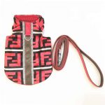 Luxury Yorkie Jacket & Leash - Image 2