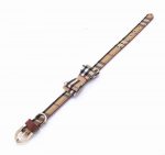 furberry-yorkie-leash-and-bowtie-collar