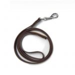 Luxury Yorkie Jacket & Leash - Image 4