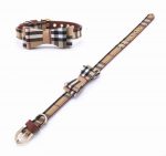 furberry-yorkie-leash-and-bowtie-collar