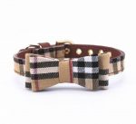 furberry-yorkie-leash-and-bowtie-collar