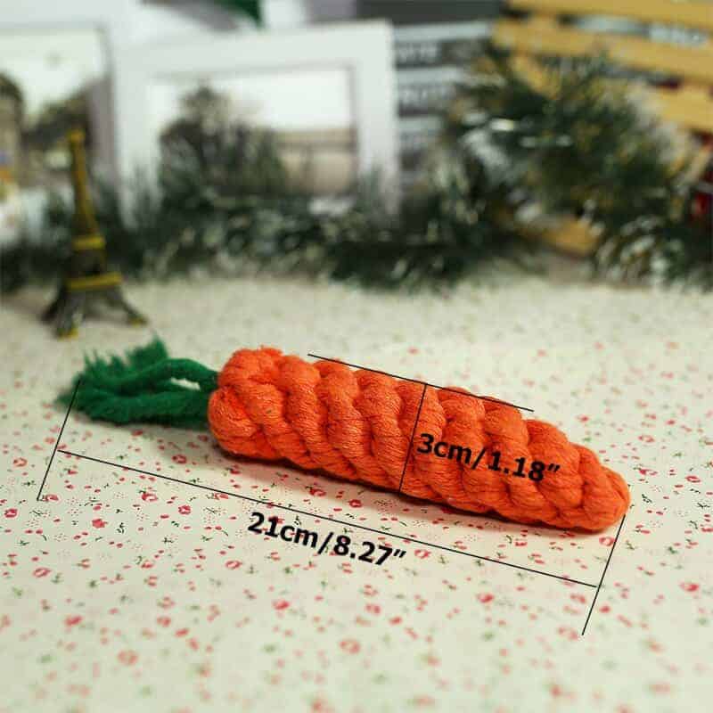 yorkie toy