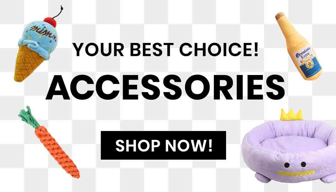 yorkies-gram-Accessories