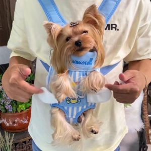 yorkie-carrier-yorkies-gram blue