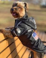 the-dog-face-windbreaker