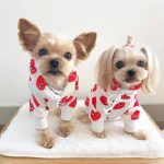 Hearts Play Yorkie Hoodie - Image 2