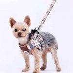 Yorkie Harness & Leash Set - Image 2