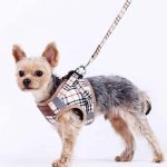 Yorkie Harness & Leash Set - Image 3