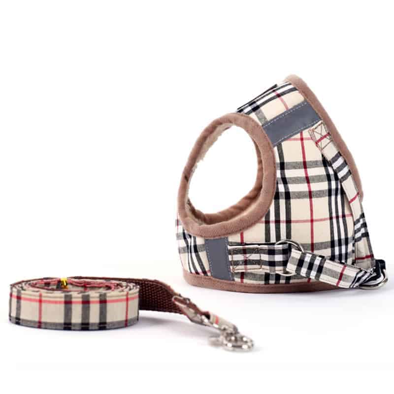 Yorkie-Harness-&-Leash-Set yorkie-harness-leash-set