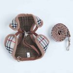 Beige Designer Yorkie Harness - Image 2