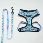 Blue Unicorn Yorkie Harness