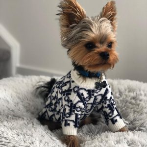diordog-sweater teacup yorkie clothes