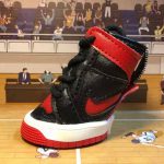 yorkies gram swoosh dog shoes for walking