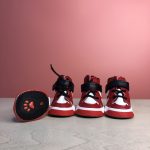 swoosh dog shoes for walking