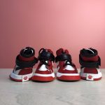 swoosh dog shoes for walking