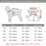 Yorkie Harness Jacket - Image 11