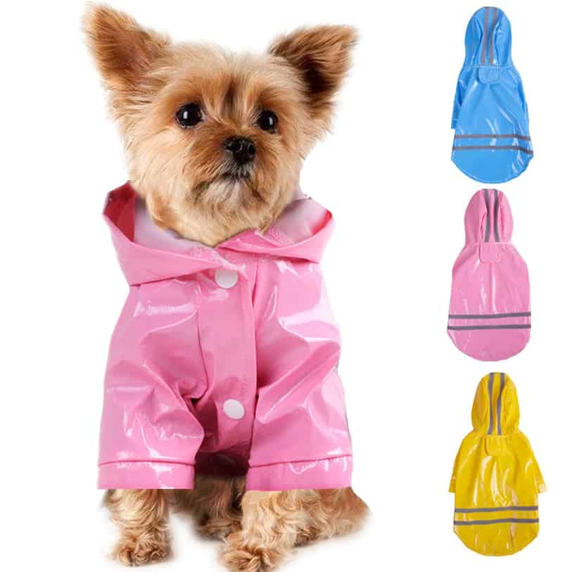 reflective-safety-yorkie-raincoat reflective-safety-yorkie-raincoat