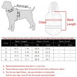 Reflective Safety Yorkie Raincoat - Image 7