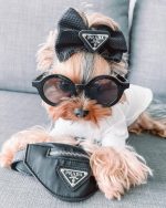 Pravda Designer Dog Handbag - Image 5
