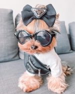 Pravda Designer Dog Handbag - Image 4