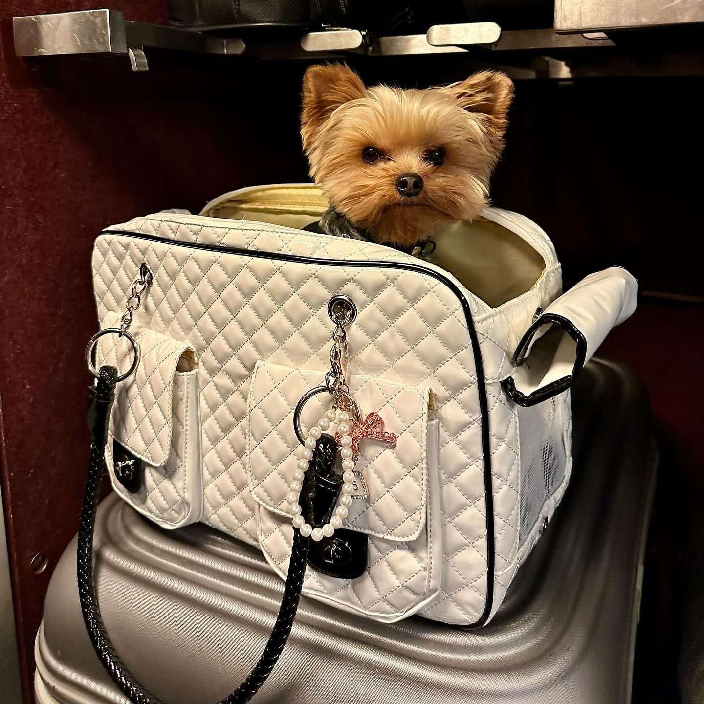 peco-luxury-dog-carrier-1 peco luxury dog carrier
