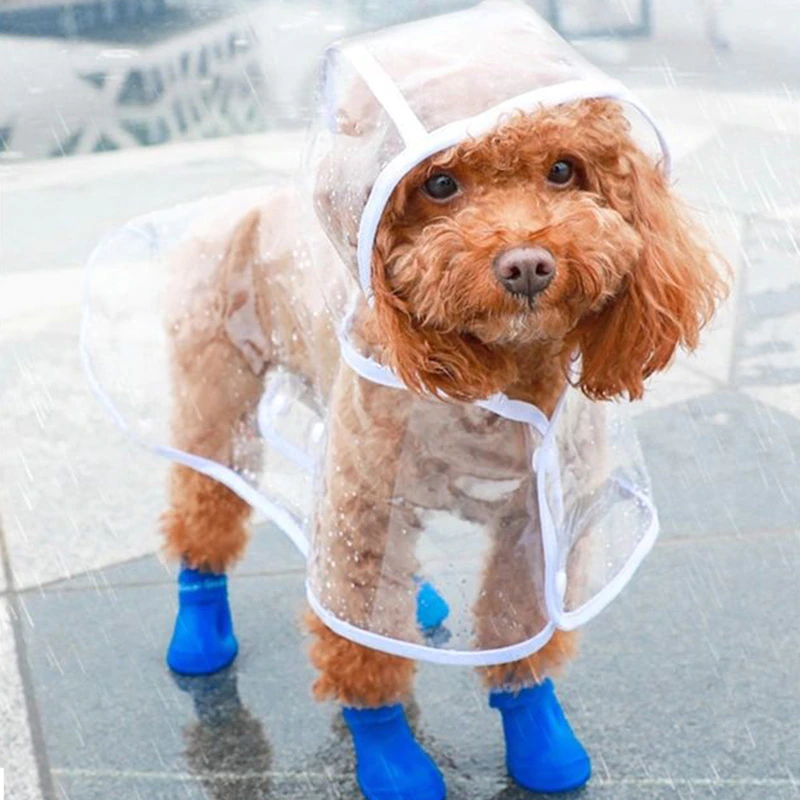 transparent-waterproof-dog-raincoat transparent-waterproof-dog-raincoat
