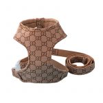 fashion adjustable gg harness leash
