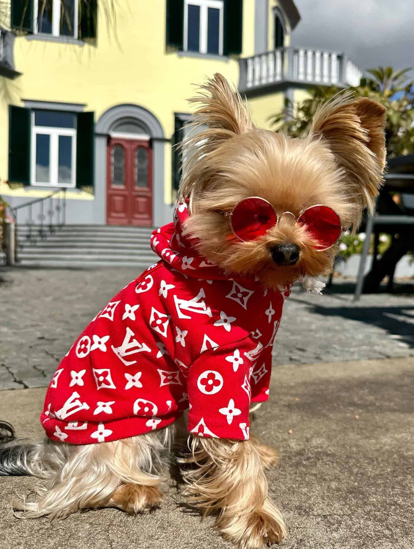 loveme-dog-hoodie-red loveme-dog-hoodie-red