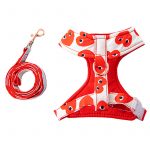 Lovely Yorkie Harness & Leash - Image 6