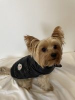Monck Yorkie Vest Jacket - Image 9