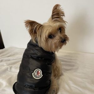 yorkie winter jackets