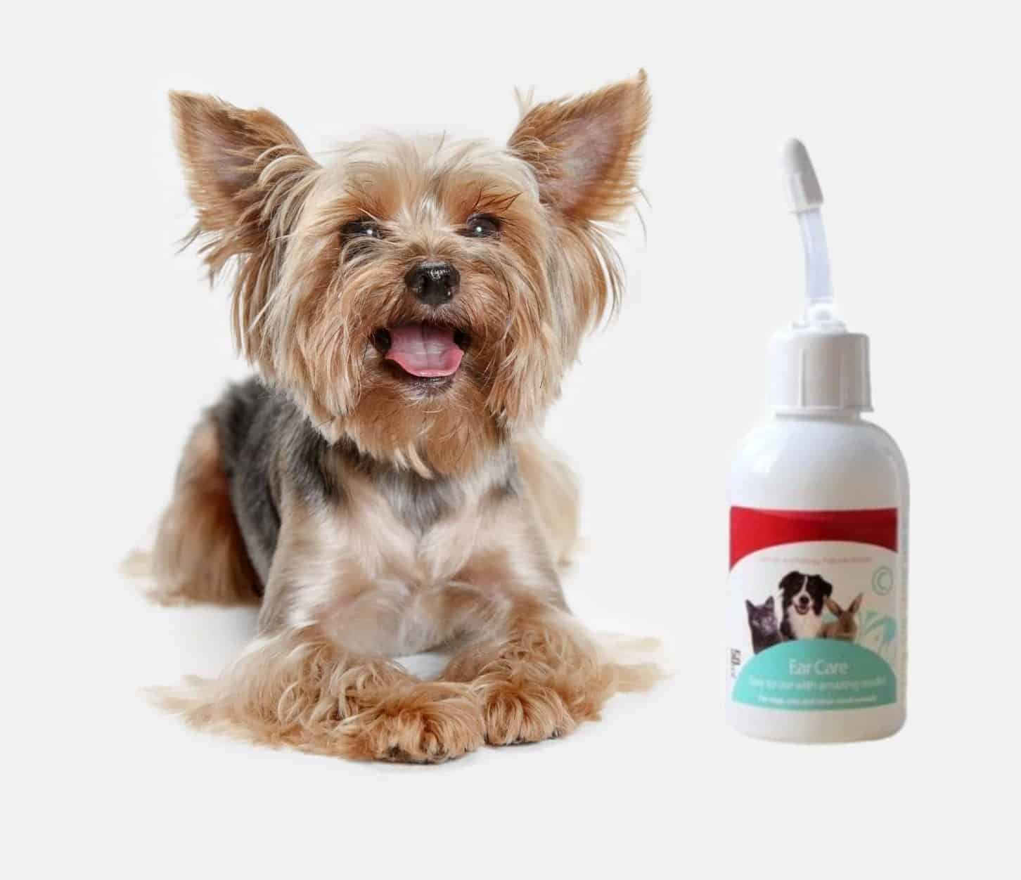 yorkie eyes cleaner(1) yorkie-ear-cleaning-solution