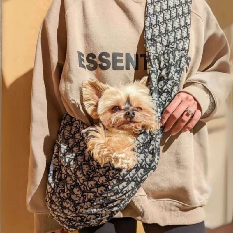 designer-diordog-bag-7 designer diordog bag