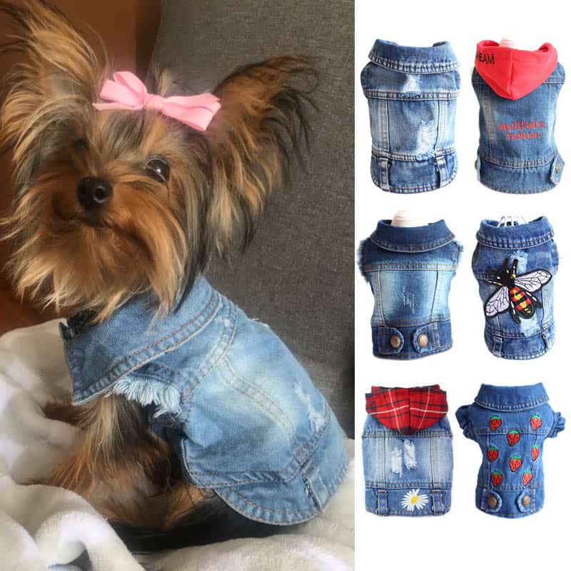 yorkshire-terrier-denim-shirt yorkshire-terrier-denim-shirt
