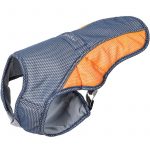 Yorkie Cooling Vest - Image 5
