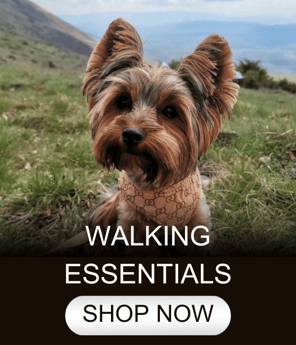 WALK Yorkie (600 × 700px)