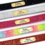 Personalized Yorkie Collar - Image 13