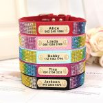 Personalized Yorkie Collar - Image 2
