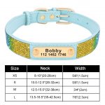 Personalized Yorkie Collar - Image 10