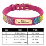 Personalized Yorkie Collar - Image 6