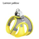 Breathable Mesh Yorkie Harness - Image 10