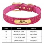 Personalized Yorkie Collar - Image 7
