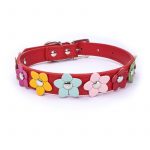 Flowers Yorkshire Terrier Collar - Image 15