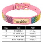 Personalized Yorkie Collar - Image 11