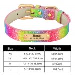 Personalized Yorkie Collar - Image 17