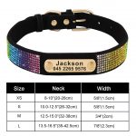 Personalized Yorkie Collar - Image 9