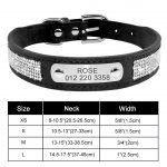 Personalized Yorkie Collar - Image 5