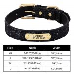 Personalized Yorkie Collar - Image 15
