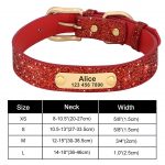 Personalized Yorkie Collar - Image 3
