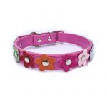 Flowers Yorkshire Terrier Collar - Image 9